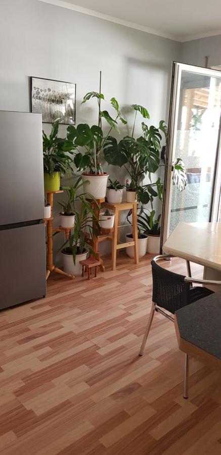 Appartement Haus Am Brunnen à Lingen Extérieur photo